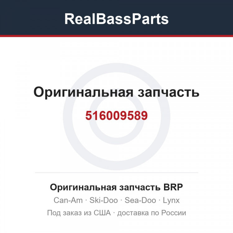 516009589