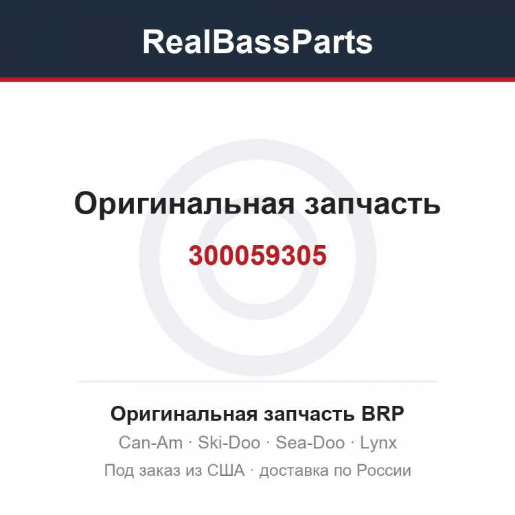300059305