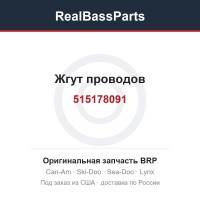 515178091 Жгут проводов