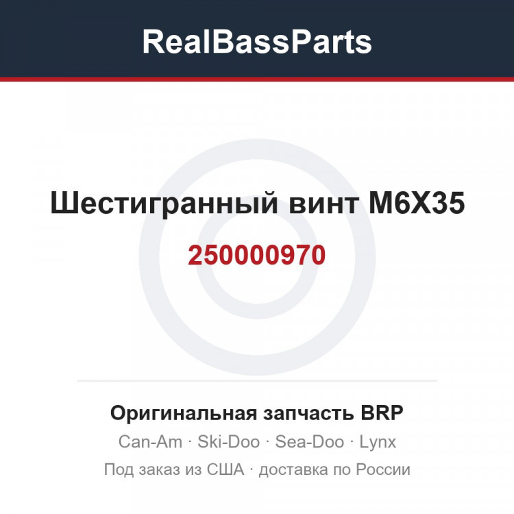 250000970 Шестигранный винт M6X35