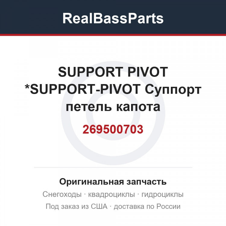 269500703 SUPPORT PIVOT  *SUPPORT-PIVOT  Суппорт петель капота