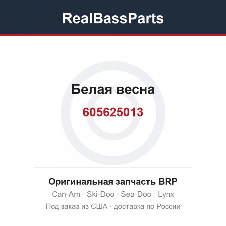 605625013 Белая весна