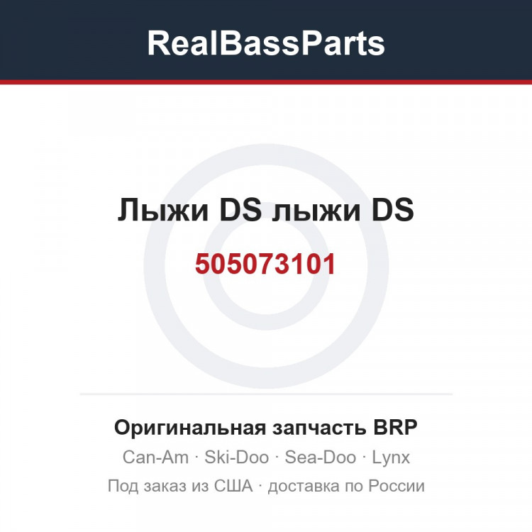 505073101 Лыжи DS лыжи DS