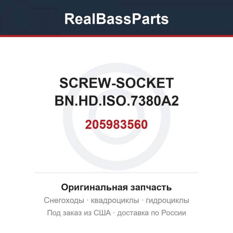205983560 SCREW-SOCKET BN.HD.ISO.7380A2