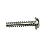 420441573 VIS HEXALOB.EPA*TORX FLANGE SCREW