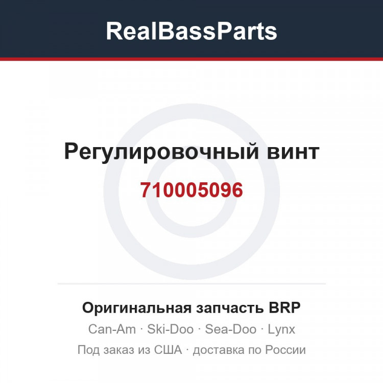 710005096 Регулировочный винт