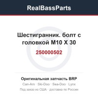 250000502 Шестигранник. болт с головкой M10 X 30