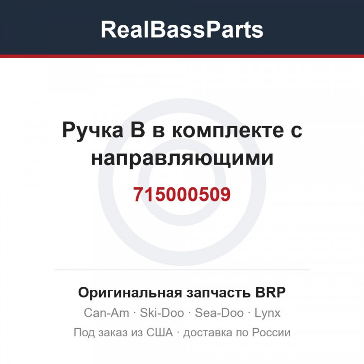 715000509 Ручка B в комплекте с направляющими