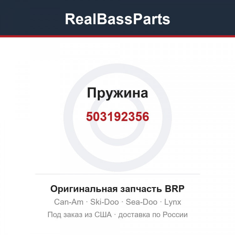 503192356 Пружина