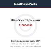 710004858 Женский терминал
