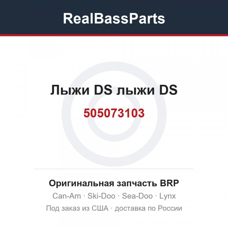 505073103 Лыжи DS лыжи DS