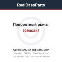 706003647 Поворотный рычаг