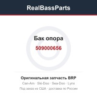 509000656 Бак опора