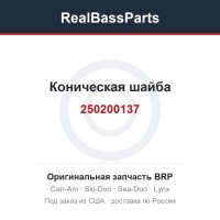 250200137 Коническая шайба