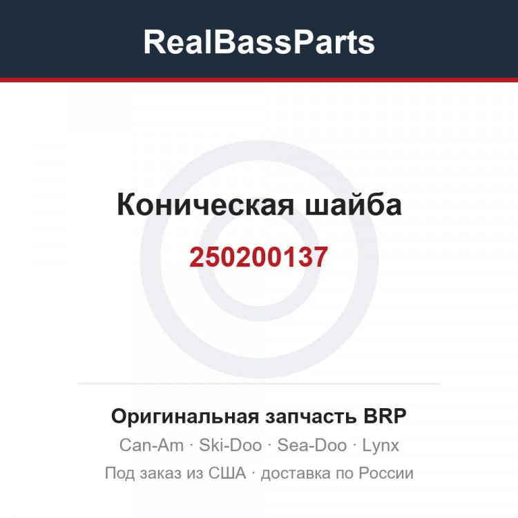 250200137 Коническая шайба