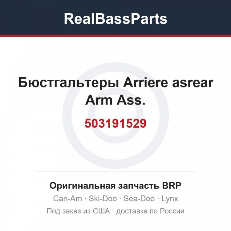 503191529 Бюстгальтеры Arriere asrear Arm Ass.