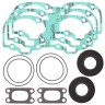 Прокладки полный комплект 550F Ski-Doo WINDEROSA GASKET SET 711277