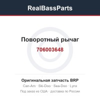 706003648 Поворотный рычаг