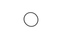 420450391 O-RING
