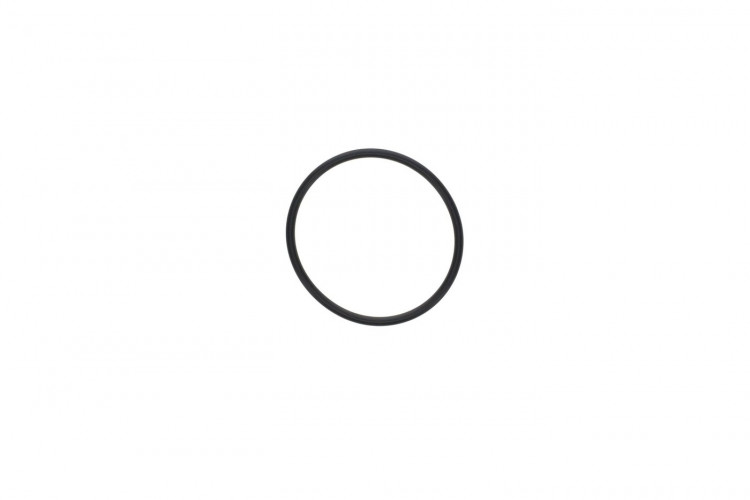 420450391 O-RING