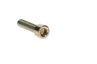 205062544 SCREW-SOCKET HD.DIN.912  Болт M6 x 25