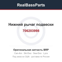 706203998 Нижний рычаг подвески