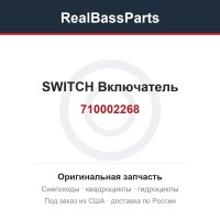 710002268 SWITCH  Включатель