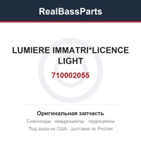 710002055 LUMIERE IMMATRI*LICENCE LIGHT