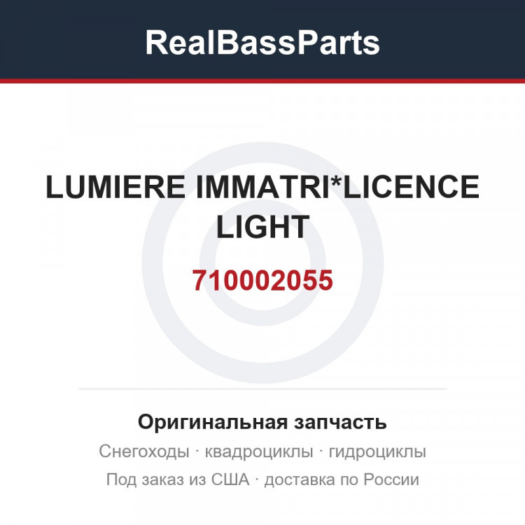 710002055 LUMIERE IMMATRI*LICENCE LIGHT