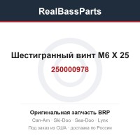 250000978 Шестигранный винт M6 X 25