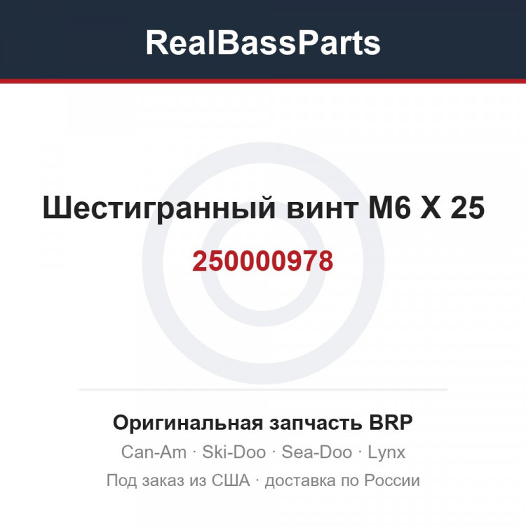 250000978 Шестигранный винт M6 X 25