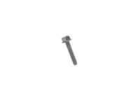 250000360 SCREW-FORMING HEX.HD.FL.DACROMAT  Болт M6 X 30