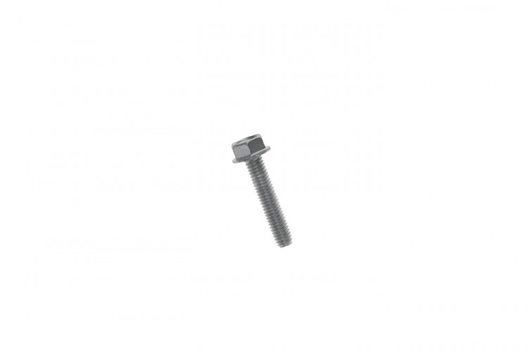 250000360 SCREW-FORMING HEX.HD.FL.DACROMAT  Болт M6 X 30
