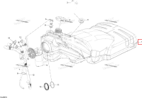 Топливный бак Ski-Doo Expedition TUV 600 H.O. SDI REV-XU (2009) (513033386)