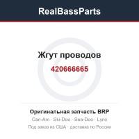 420666665 Жгут проводов