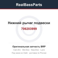 706203999 Нижний рычаг подвески