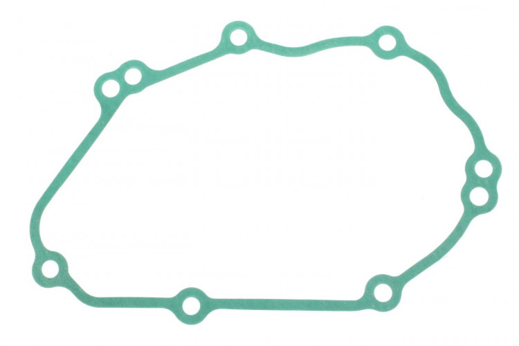 420450410 GASKET