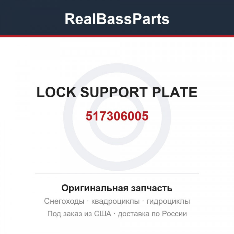 517306005 LOCK SUPPORT PLATE