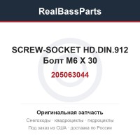 205063044 SCREW-SOCKET HD.DIN.912  Болт M6 X 30