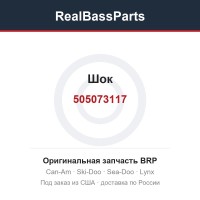 505073117 Шок