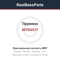 507032317 Пружина