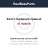 517306079 Капот передний правый