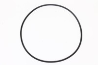 420450431 O-RING