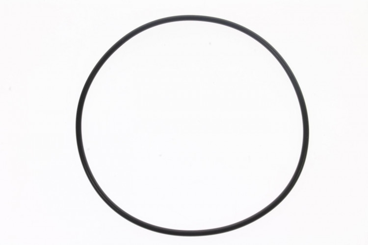 420450431 O-RING
