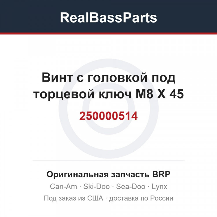 250000514 Винт с головкой под торцевой ключ M8 X 45