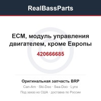 420666685 ECM, модуль управления двигателем, кроме Европы