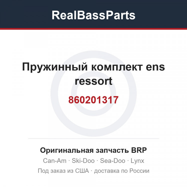 860201317 Пружинный комплект ens ressort
