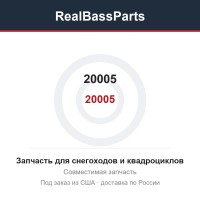 20005