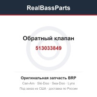 513033849 Обратный клапан