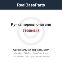 710004618 Ручка переключателя